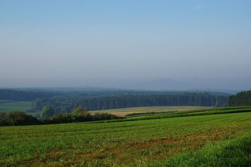 meadow field emmingen