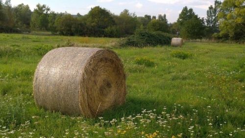 meadow straw bales straw