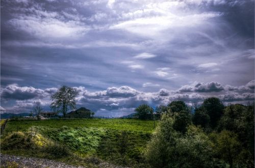 meadow farmhouse trees