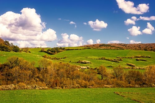 meadow  hill  landscape