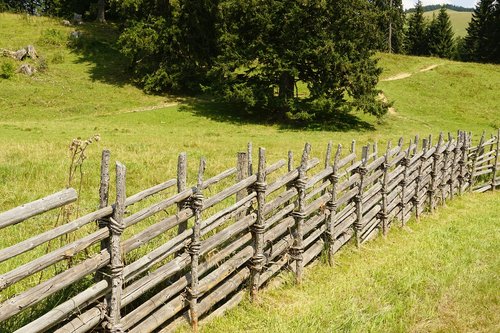 meadow  grazing area  fence