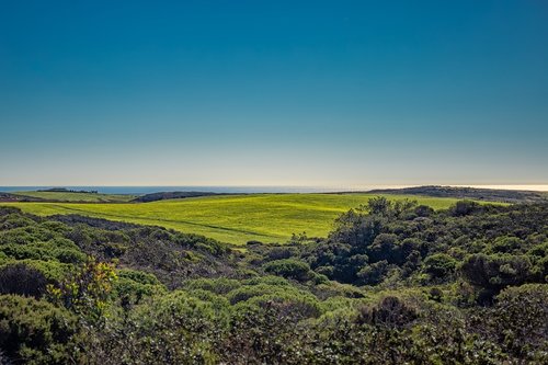 meadow  coastline  landscape