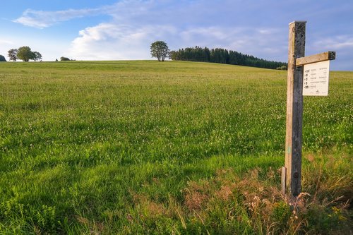 meadow  grass  directory