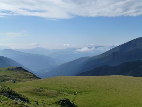 meadow alm alpine