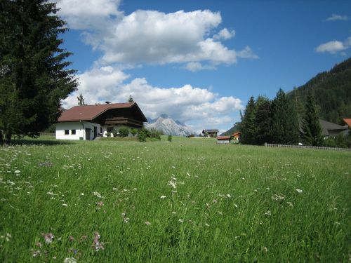 meadow home nature