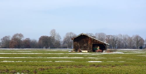 meadow pasture winter