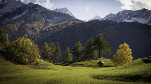 meadow landscape nature