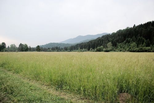 meadow clouds nature