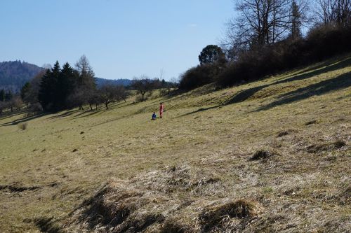 meadow children play