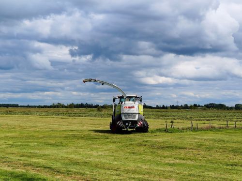 meadow agriculture landscape