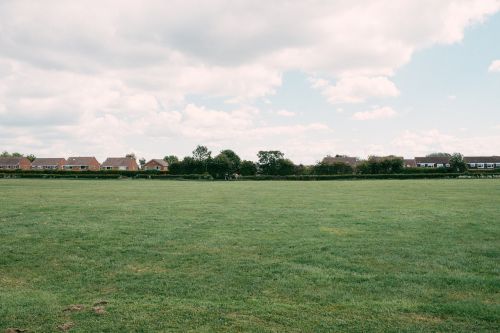 meadow field country