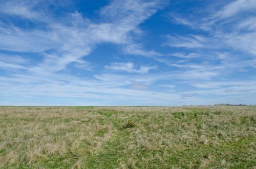 Meadow And Blue Sky