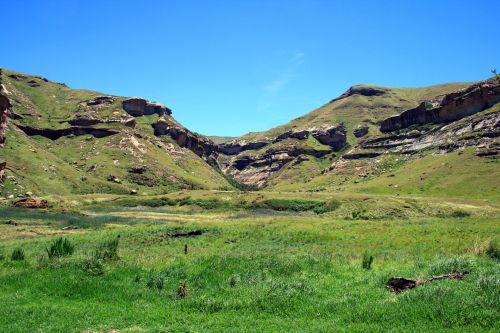 Meadow And Mountains