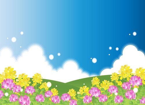 meadow background  flowers  clouds