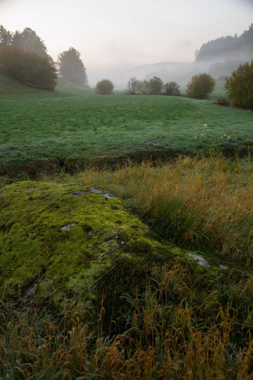 meadow mist stone moss