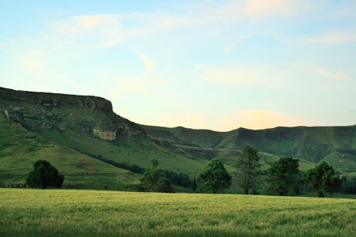 Meadow, Trees And Mountain