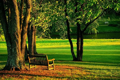 meadowlark park bench