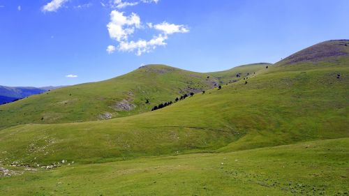 meadows mountain green