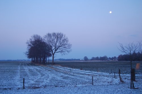 meadows  nature  landscape