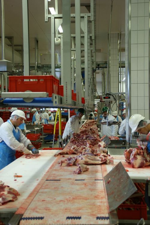 meat butcher's slaughterhouse