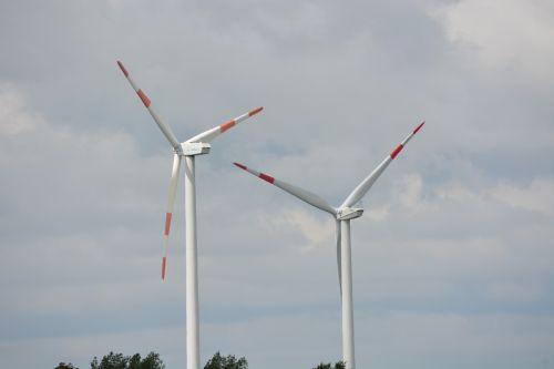 mecklenburg field spring