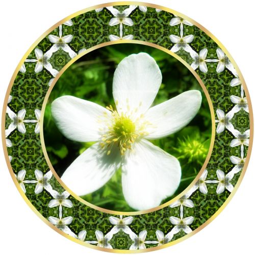 Floral Medallion (3)
