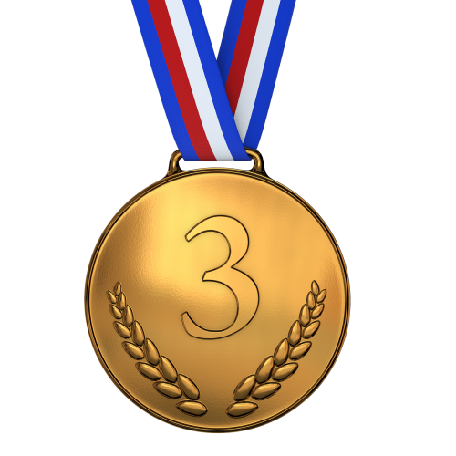 medal bronze award