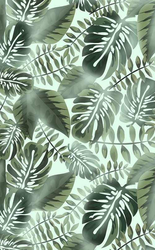 medellin  leaves  tropical