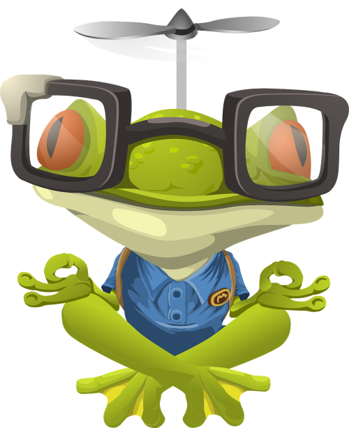 meditate frog yoga