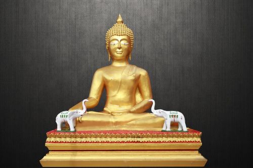 meditating buddha golden buddha zen