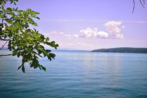 mediterranean croatia nature