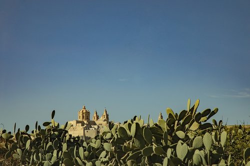 mediterranean  landscape  gozo