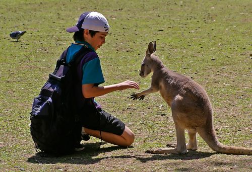 meeting encounter boy