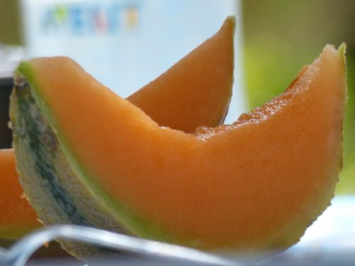melon vegetable fruit