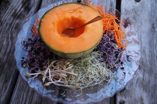 melon  healthy food  a healthy diet