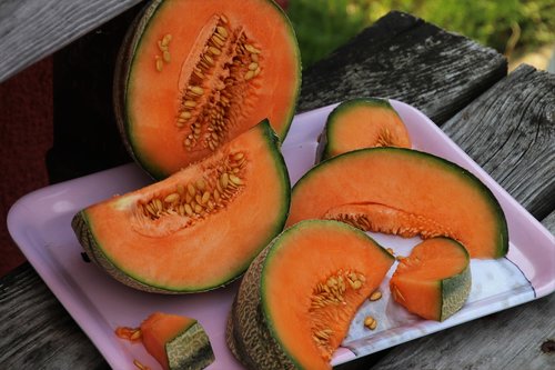 melon  orange  food
