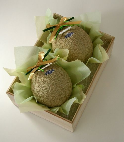 melon cantaloupe gifts