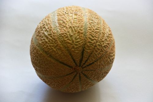 Summer Melon
