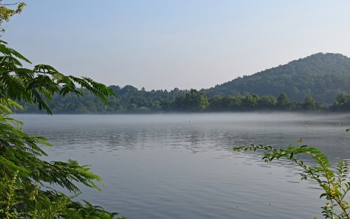 melton lake on foggy morning fog dawn