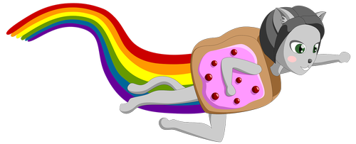 memes  cat  rainbow