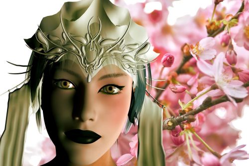 memoirs of a geisha japan cherry blossom