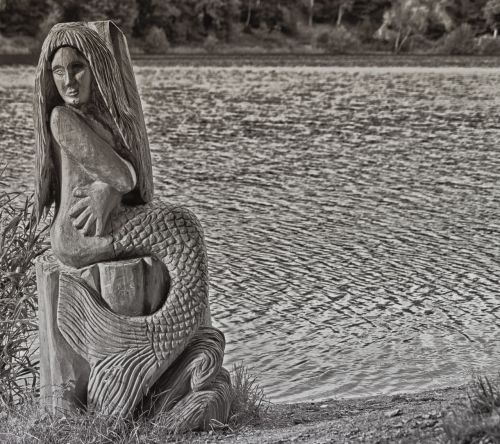 mermaid wood water