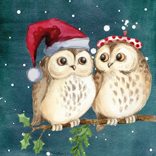 merry christmas owls watercolor
