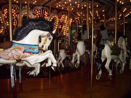 merry-go-round carousel horse