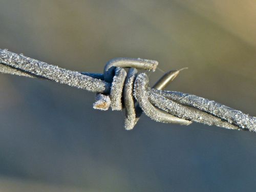metal barb wire close-up