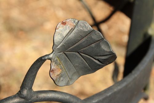 metal leaf rust