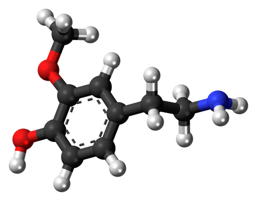 methoxytyramine molecule chemistry