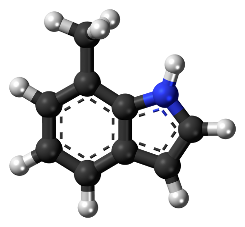 methylindole molecule model
