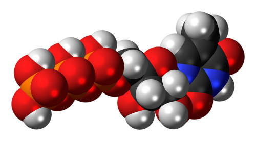 methyluridine triphosphate nucleotide