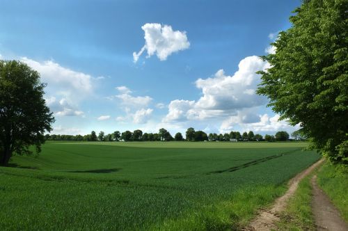 mettmann landscape field